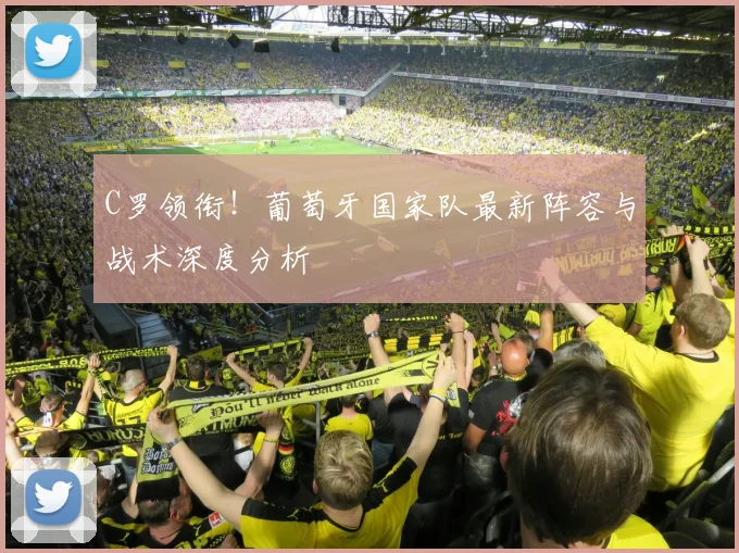 C罗领衔！葡萄牙国家队最新阵容与战术深度分析