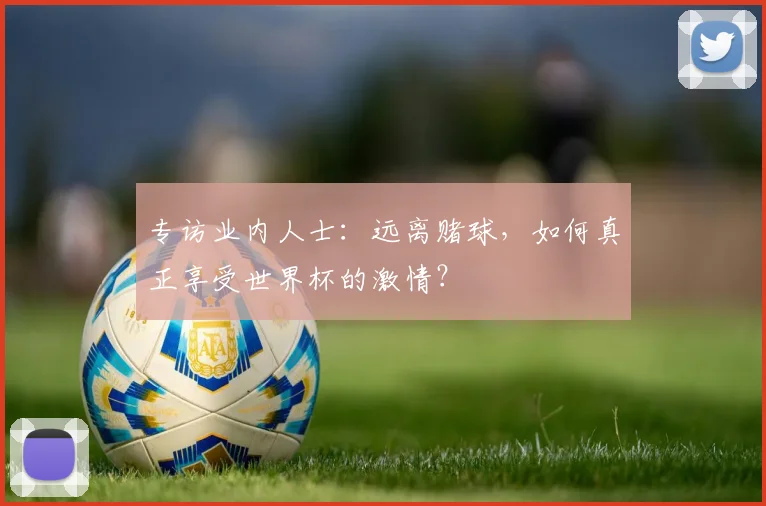 专访业内人士:远离赌球,如何真正享受世界杯的激情?