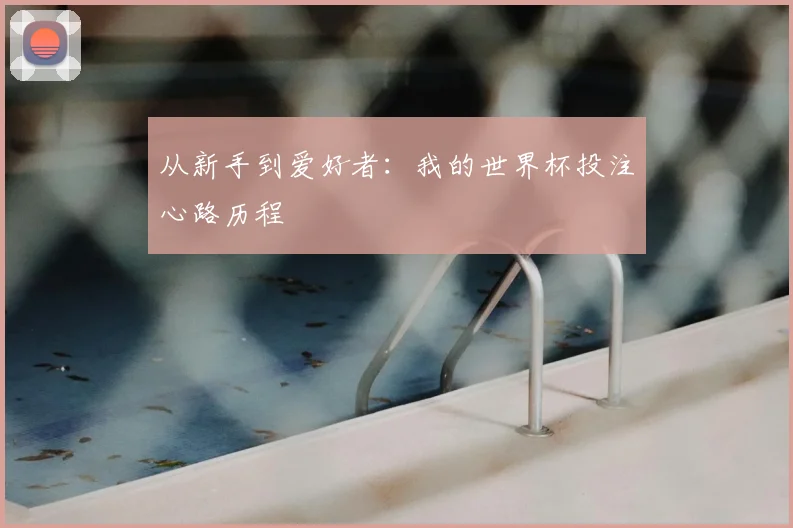从新手到爱好者:我的世界杯投注心路历程