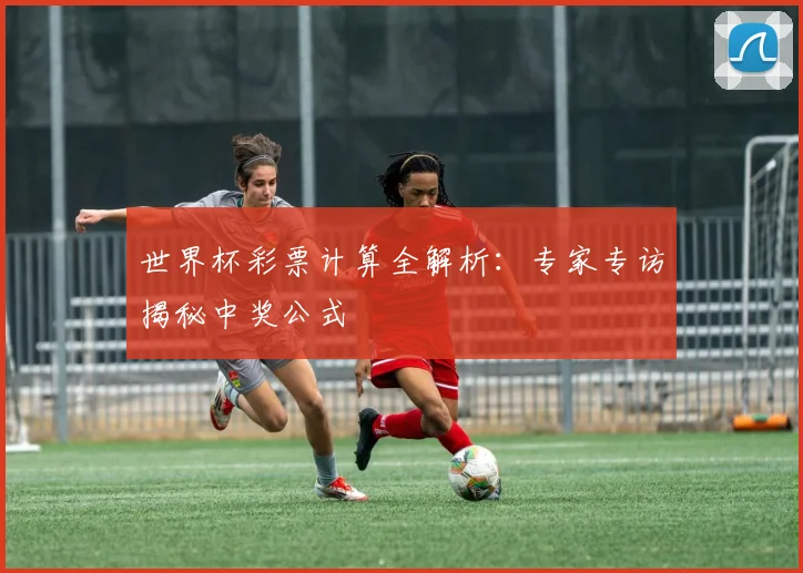 世界杯彩票计算全解析：专家专访揭秘中奖公式