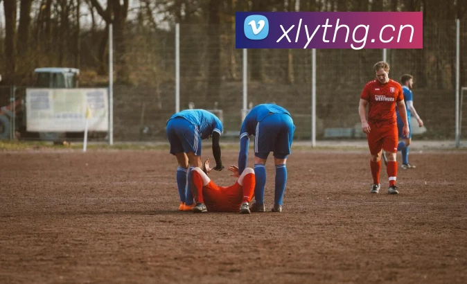 kaiyun体育app官网地址平台生态图