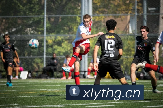 kaiyun体育app官网地址APP 封面图