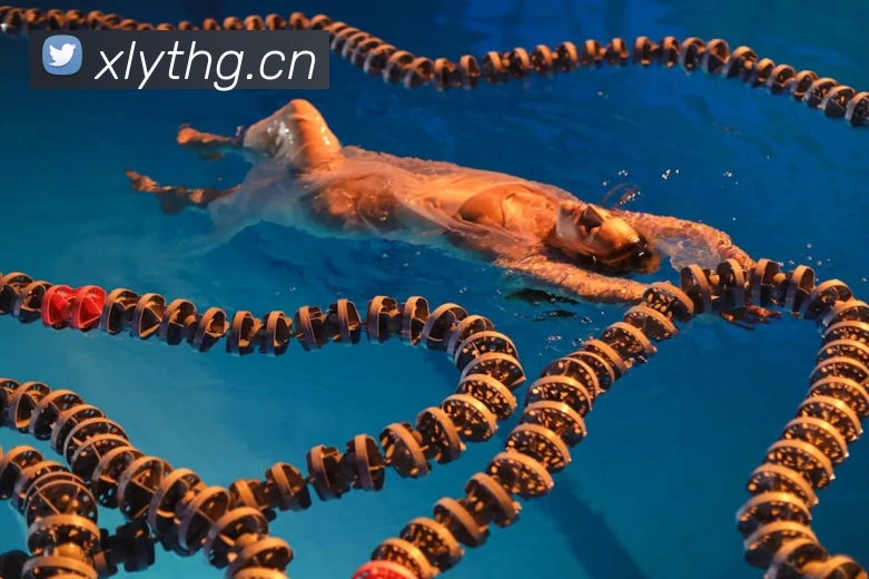 数据防护可视化